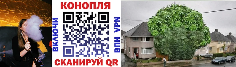 Названия наркотиков Лебедянь Псилоцибиновые грибы  блэк спрут вход  ГАШИШ  Меф мяу мяу  МАРИХУАНА  АМФ 