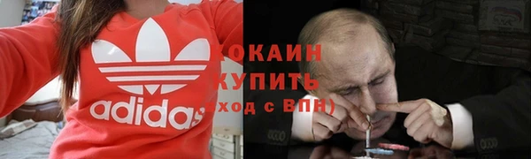 винт Алзамай