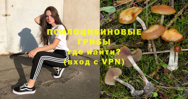 винт Алзамай